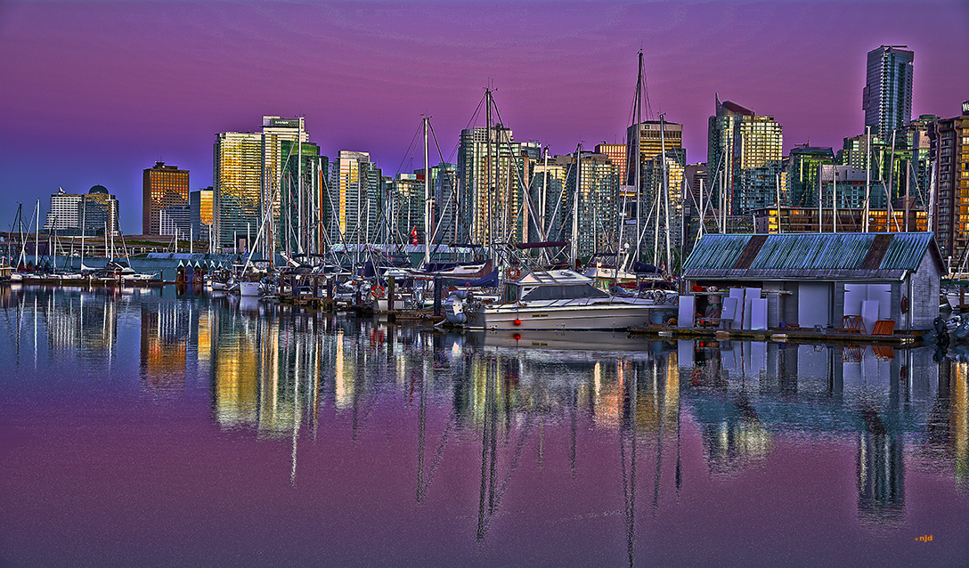 Purple Coal Harbour